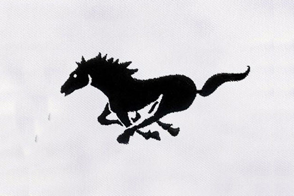 Black Horse Design Review for Boutique Embroidery Projects